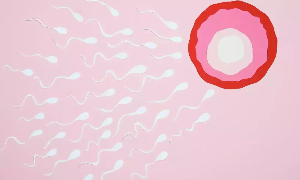 In vitro fertilization treatment